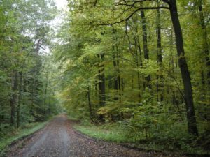 Wandelen naar Steinhude